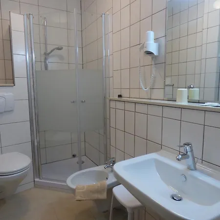 Weidenau Hotel 2*