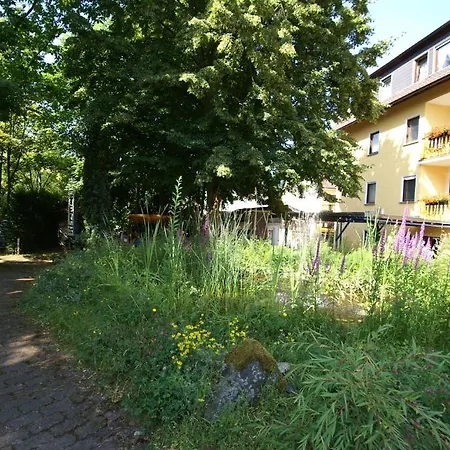 Weidenau Hotel Bad Orb